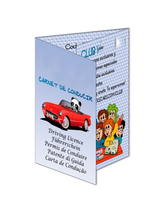 MINI CARNET DE CONDUCIR PATILANDIA