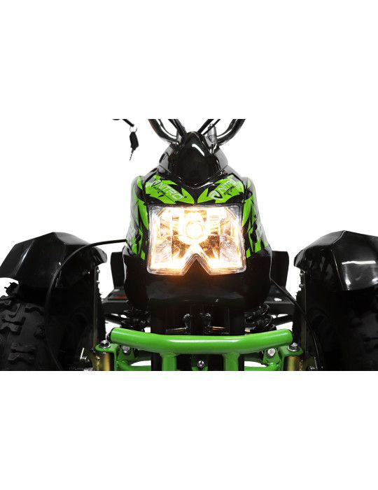 Child Electric Miniquad Eco Cobra 800w 36v QUAD PER BAMBINI - Patilandia 