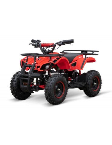 Quad elétrico infantil Eco Torino BASIC 1000w 48v