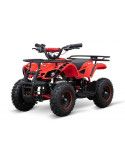 Quad elétrico infantil Eco Torino BASIC 1000w 48v QUADRICICLO ELÉTRICO INFANTIL 