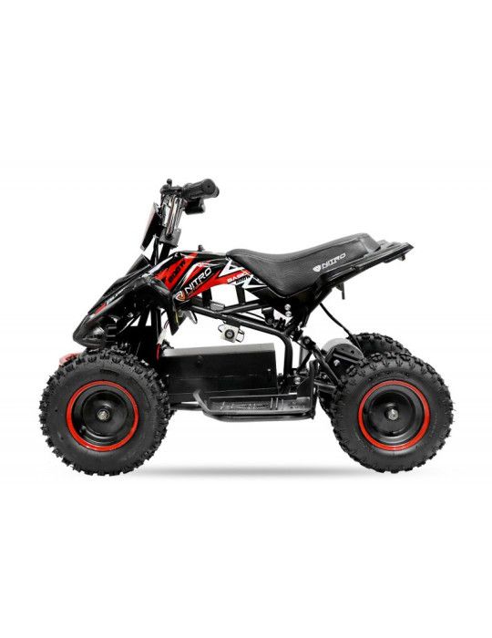 Quad Elétrico Infantil - Segurança e Diversão |Pitão 800W 36V R6