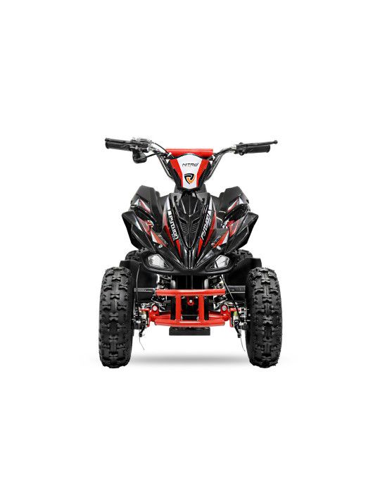 Quad Elétrico Infantil - Segurança e Diversão |Pitão 800W 36V R6