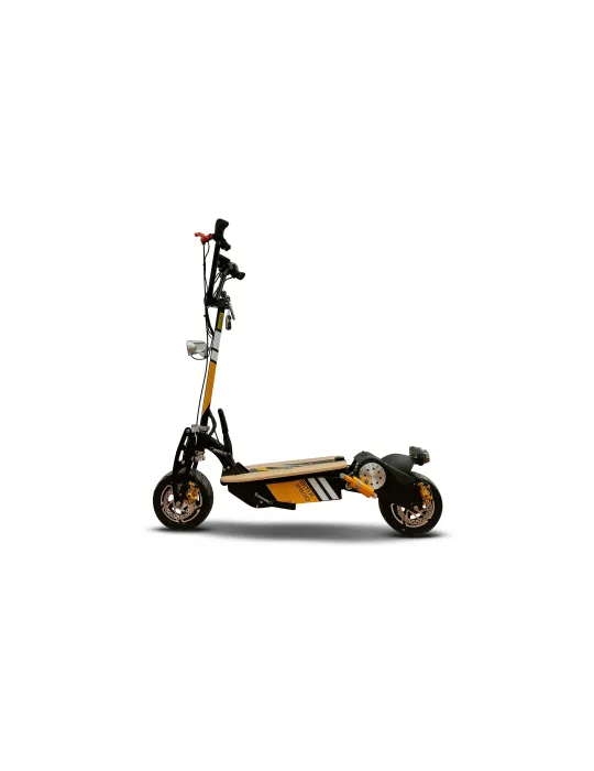 2500 W passerella elettrica fino a 70km/h 90km autonomia SCOOTER ELETTRICI - Patilandia 