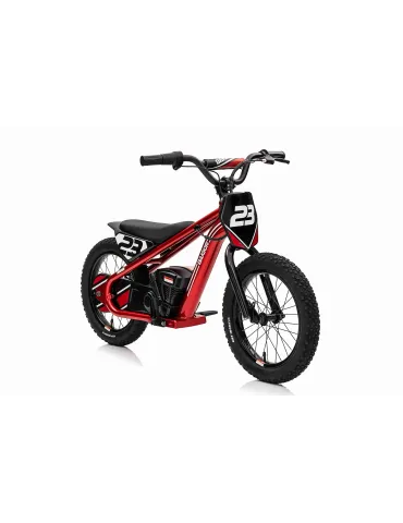 Baigor 23 Pro Electric Bike with Motor