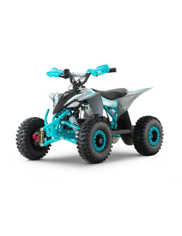 Eco Replay Sport Snowy XL 1200W R6 Children's Mini Quad