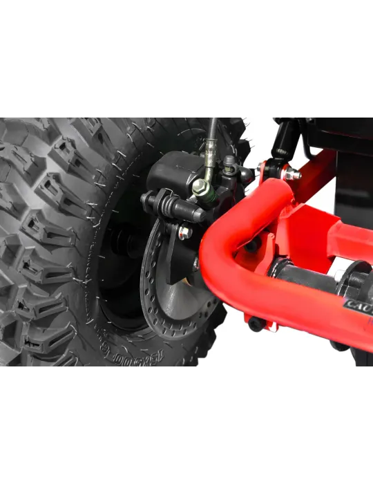 Todoterreno Buggy UTV Savana V2 [product.brand] 12 - Patilandia 