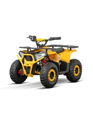 Mini Quad Infantil Nerino 1000W Neumáticos XL Sport 6"