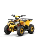 Mini Quad Infantil Nerino 1000W XL Sport 6" 1 