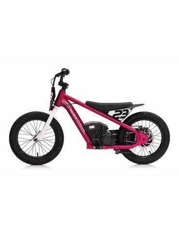 Baigor 23 Pro Electric Bike with Motor