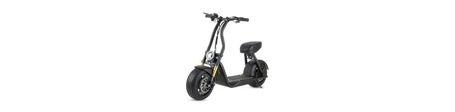 ◁ SCOOTERS ELECTRIC MATRICULABLES